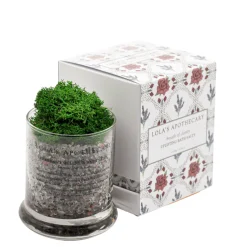 BREATH OF CLARITY Uplifting Bath Salts/ Badesalz | LOLA'S APOTHECARY