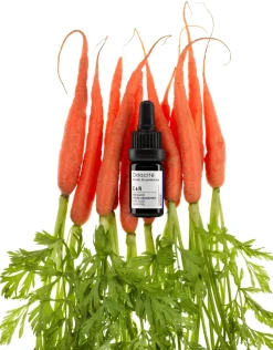 CaR Vital Glow - Serum | Konzentrat mit wilder Karotte für vitale Haut