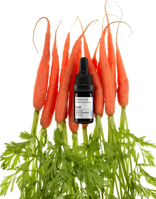 CaR Vital Glow - Serum | Konzentrat mit wilder Karotte für vitale Haut