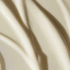 Edelweiß Extrême Peptides & Carnosine I ODACITÉ - Intensiv reparierende Augencreme