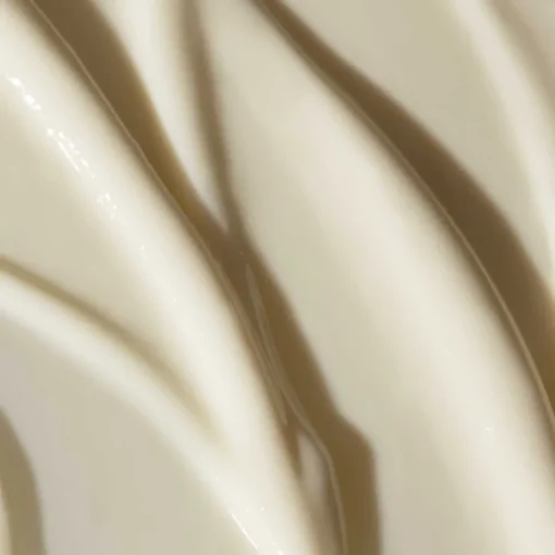 Edelweiß Extrême Peptides & Carnosine I ODACITÉ - Intensiv reparierende Augencreme