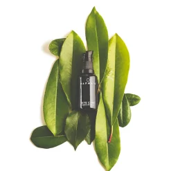 EYE CARE | DAFNA'S - leichte Augenpflege