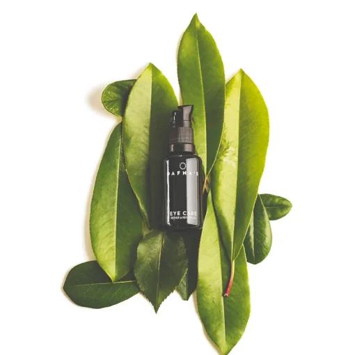 EYE CARE | DAFNA'S - leichte Augenpflege
