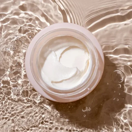 INIKA Organic | Phytofuse Renew Day Cream