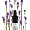 Jo+L | Serum | Konzentrat bei verstopften Poren mit Jojoba und Lavendel