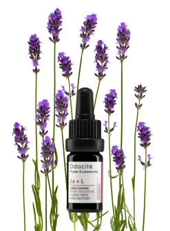 Jo+L | Serum | Konzentrat bei verstopften Poren mit Jojoba und Lavendel