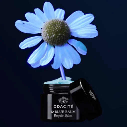Le Blue Balm/feuchtigkeitsspendender Balm mit Blauer (echter) Kamille