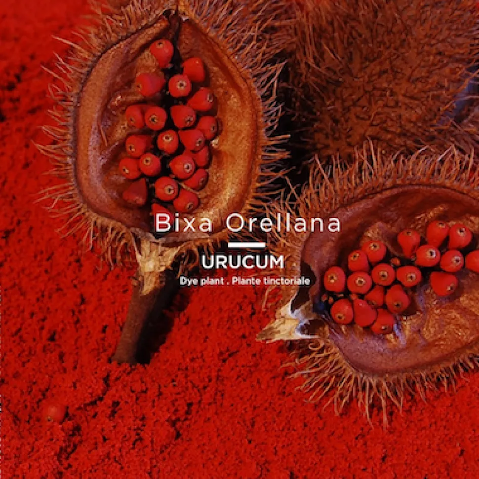 Le Nude Tinctorial WANTURA No 031 - LE ROUGE FRANCAIS - Lippenstift