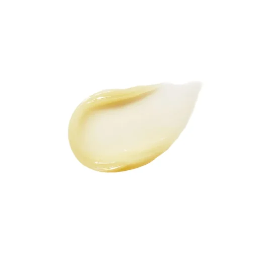 Lipnights Sleepover | RMS Beauty Overnight Lip Mask